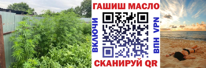 Купить где  Саратов  ТГК концентрат 