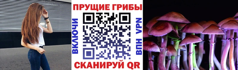 Купить  Саратов  Галлюциногенные грибы Magic Shrooms 